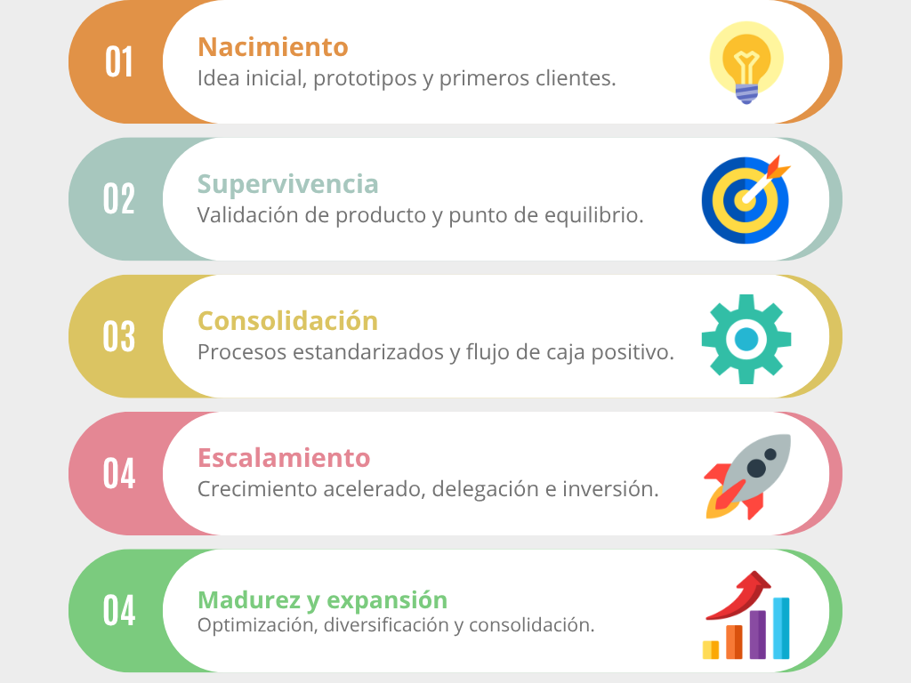 gráfico fases del crecimiento empresarial
