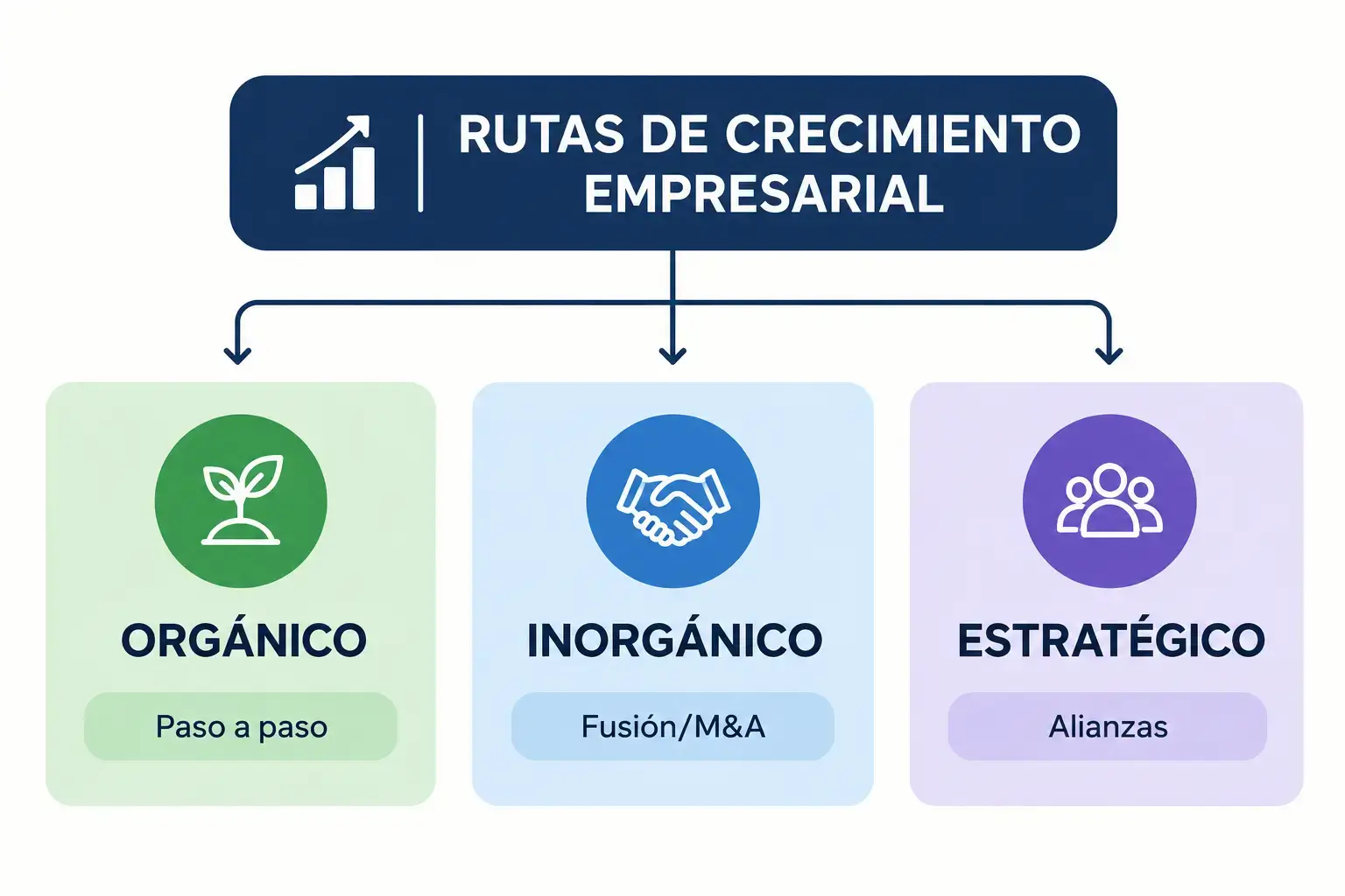 tipos de crecimiento empresarial