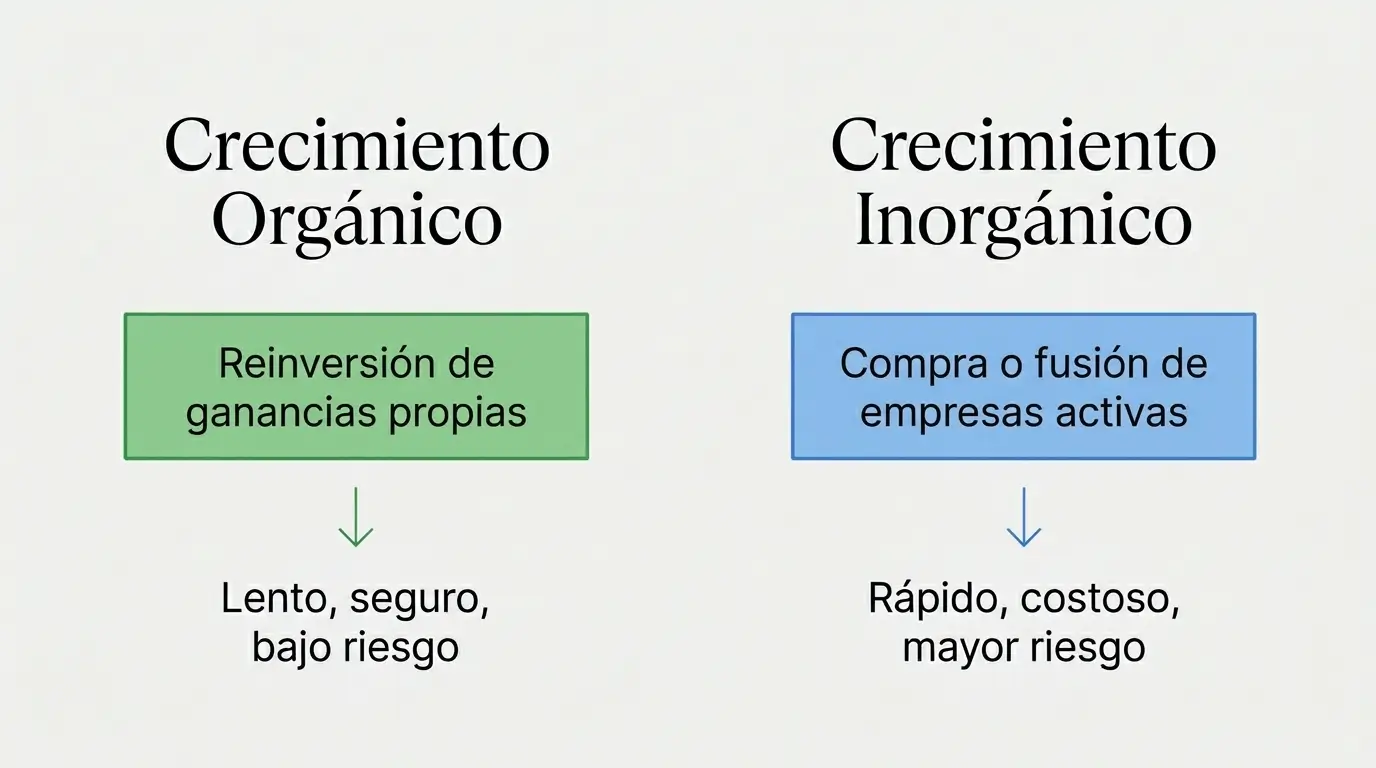 tipos de crecimiento empresarial